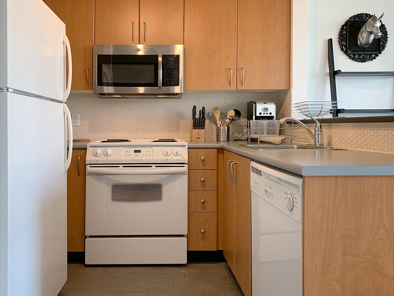 Vancouver apartments for rent oscar studio kitchen